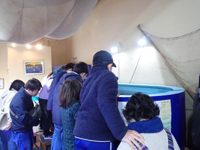 やながわ有明海の生きもの観察会3