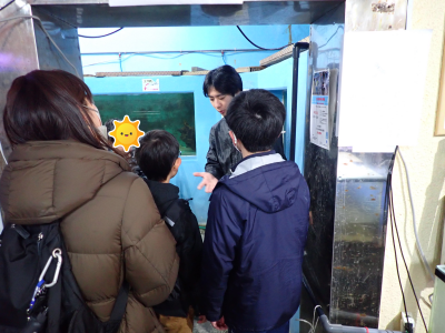 やながわ有明海の生きもの観察会4