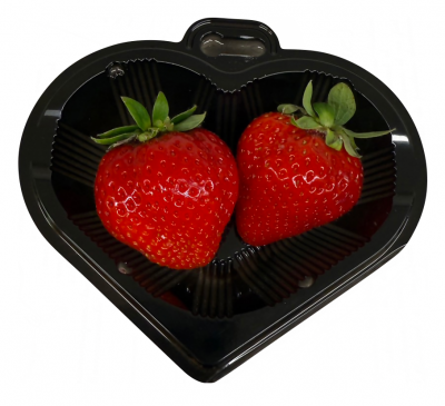 来場者プレゼント「あまおう（先着200名）