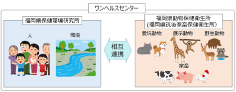 ワンヘルスセンターの構成
