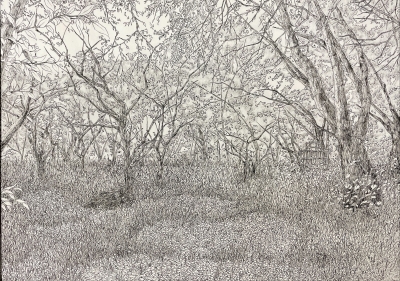 中高生の部　銀賞