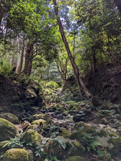 写真部門　景観発見賞