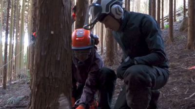 動画内容２安全な伐採作業