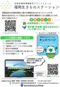 「福岡生きものステーション」周知リーフレット