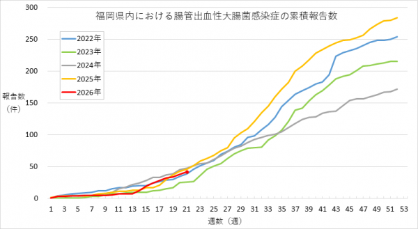 福岡県内における腸管出血性大腸菌感染症の報告数のグラフです。