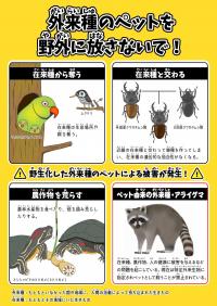 クリアファイル