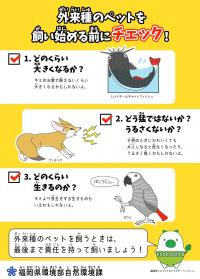 クリアファイル