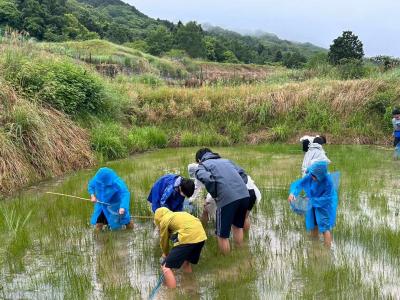 生き物調査