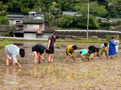 田植え体験