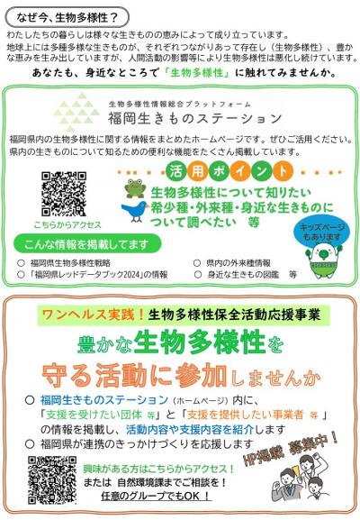 アドバイザー