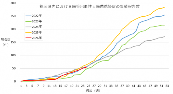 福岡県内における腸管出血性大腸菌感染症の報告数のグラフです。