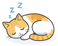 眠る猫