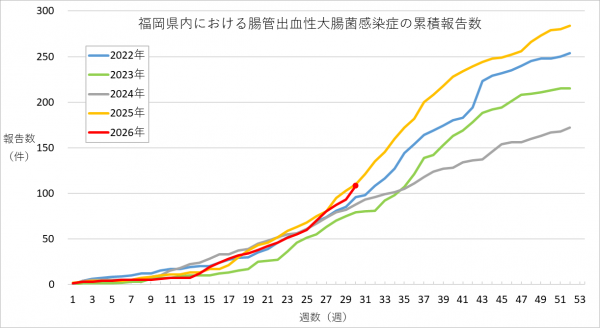 福岡県内における腸管出血性大腸菌感染症の報告数のグラフです。