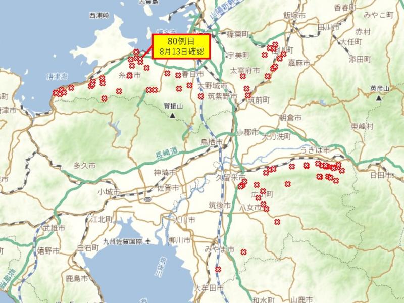 全体