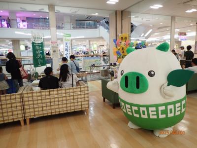 エコトン