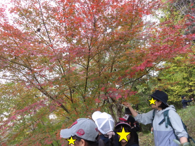 小学校自然観察１