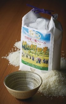 東峰村棚田米