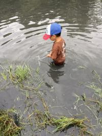 観察中の男の子