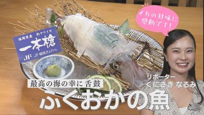 ふくおかの魚