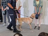 写真6_麻薬探知犬デモンストレーション