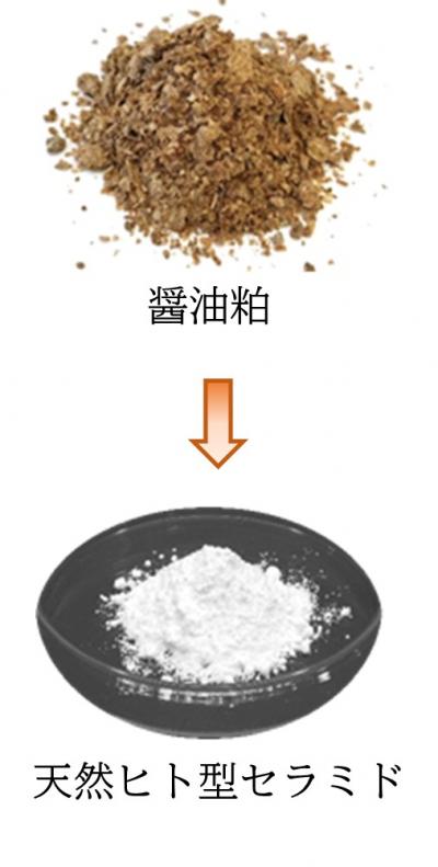功績イメージ
