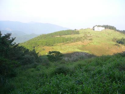 旧雷山スキー場の草原