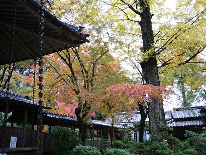 久留米市山本町永勝寺の紅葉