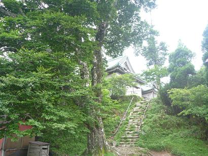 英彦山中岳山頂のブナと英彦山神宮上宮