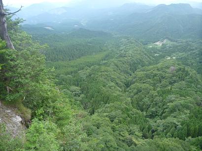 英彦山望雲台より見下ろす樹林帯