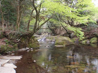 築上町牧ノ原キャンプ場城井川