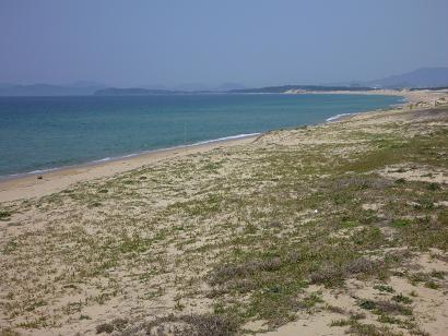 海ノ中道の海岸砂丘