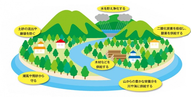  森林の公益的機能の図です