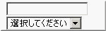 テキストボックスの例