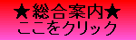 錯誤のおそれがある例