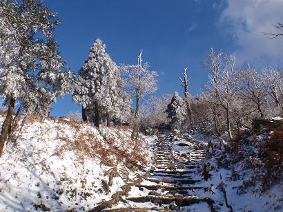 冬の英彦山中岳へ続く参道