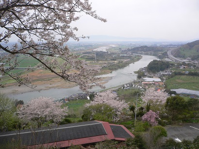 朝倉市杷木の高山から見下ろす春の筑後川