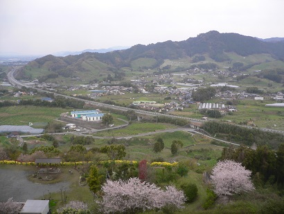 朝倉市杷木の高山より望む柿畑と麻底良山