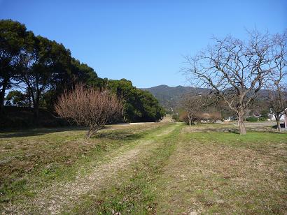 九州自然歩道の通る水城跡　後方に四王寺山を見る