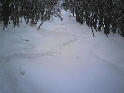 雪の三郡山縦走路