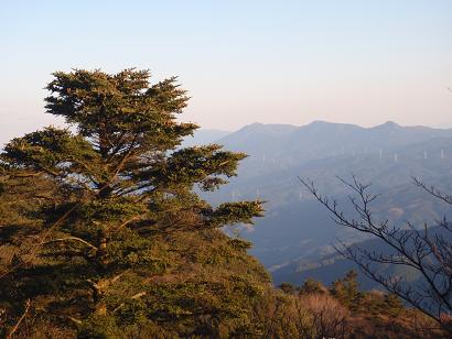 三郡山中腹より望む古処山地とモミの樹