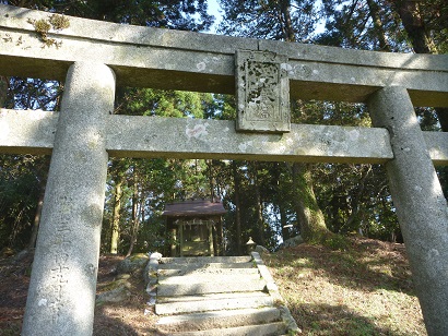 スギの巨樹に囲まれた浮岳山頂浮嶽宮