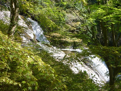 新緑の二丈渓谷明神の滝