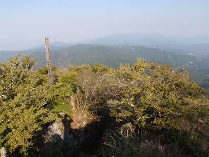 ツゲの群生する古処山より三郡山方面の眺め