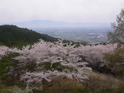 鷹取山山麓平原自然公園より望む春の筑後平野
