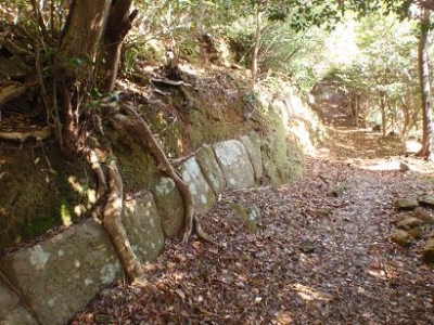 みやま市瀬高町女山神籠石の写真です