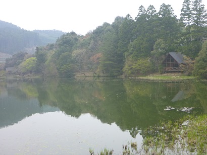 八女市星野村池の山の麻生池の写真です
