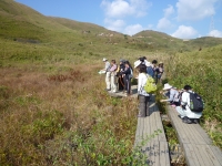 自然観察会写真