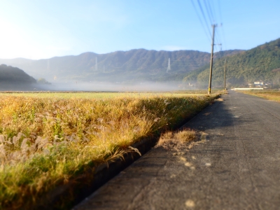 みやこ町勝山付近の田園風景の写真です