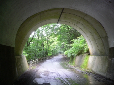 天狗ラインを通り野峠、犬ヶ岳に向かう九州自然歩道の写真です