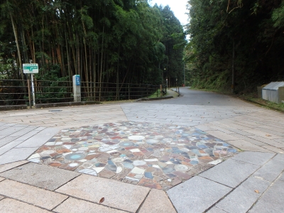 小石原皿山付近の九州自然歩道の写真です